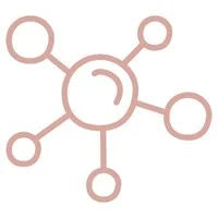 Absorción de los principios activos